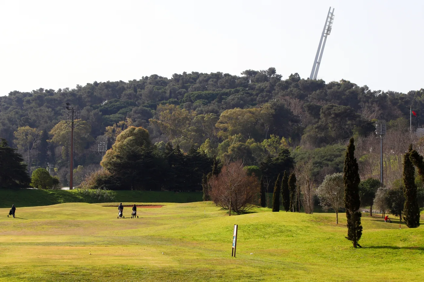 O campo do Jamor, na encosta arborizada do vale, em Oeiras