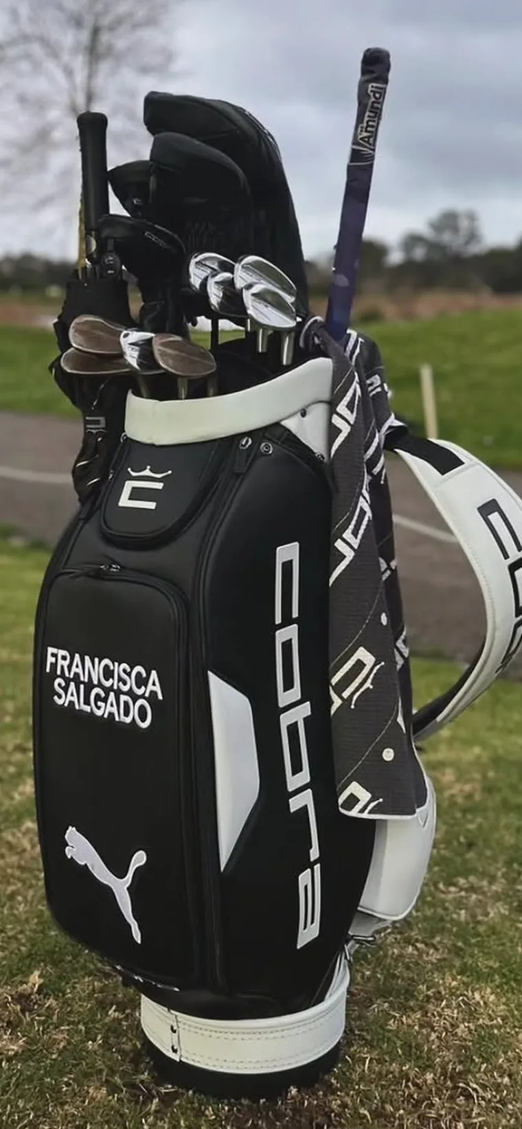 Saco: Cobra Tour